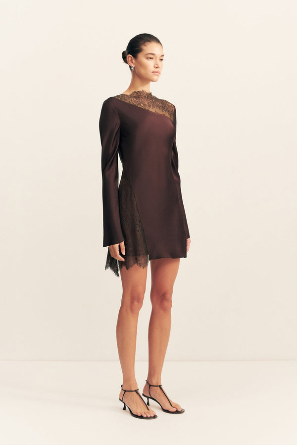 Brown Lace-Paneled Mini Dress