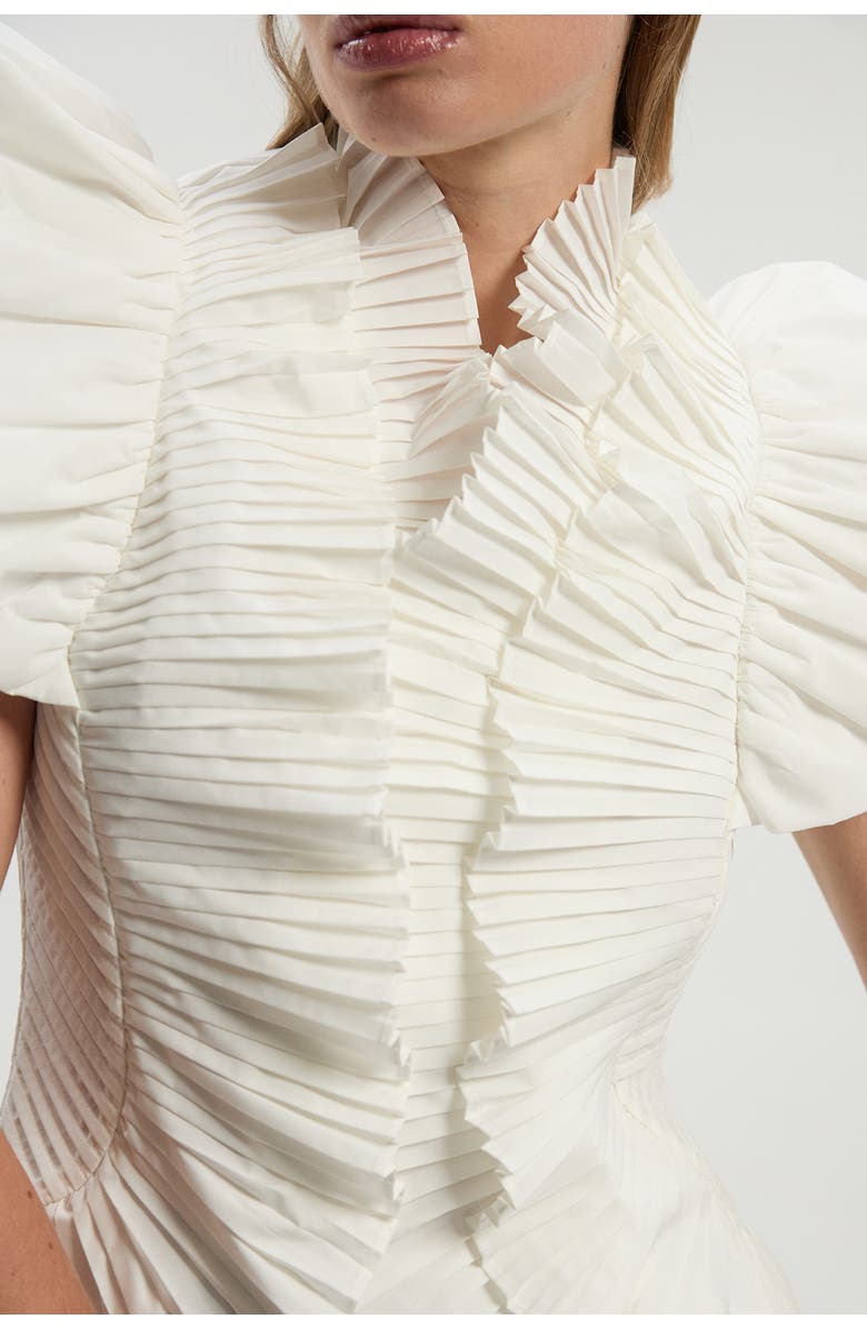 Pleated Ruffle Sleeve Woven Top