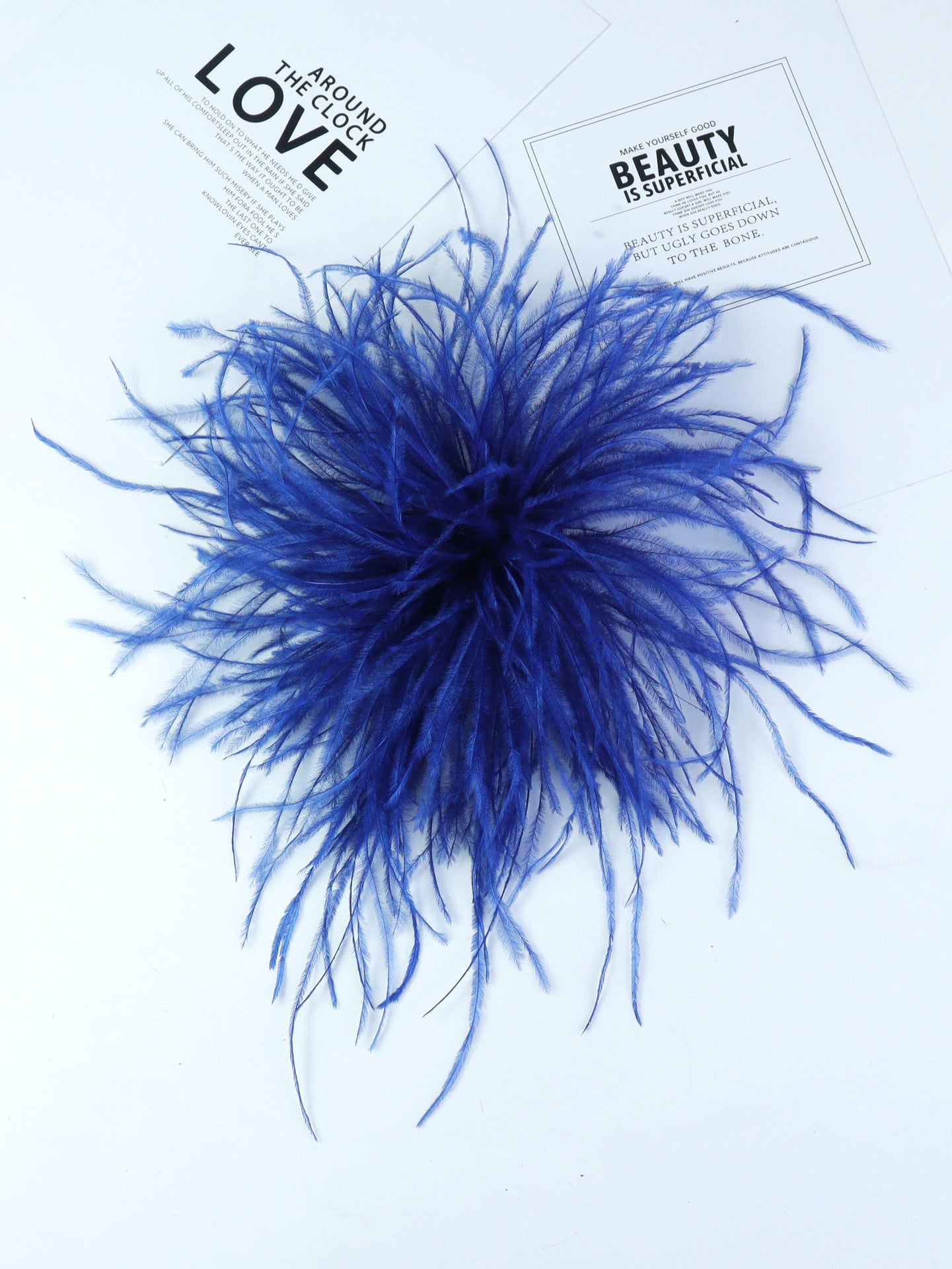 Fireworks Feathers Brooch