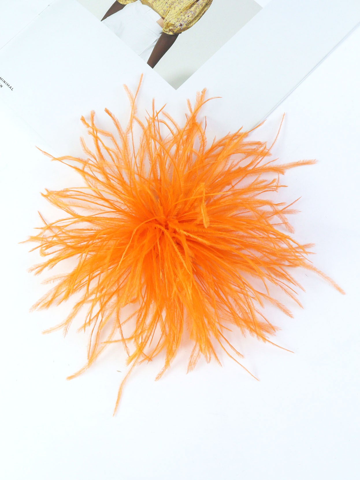 Fireworks Feathers Brooch
