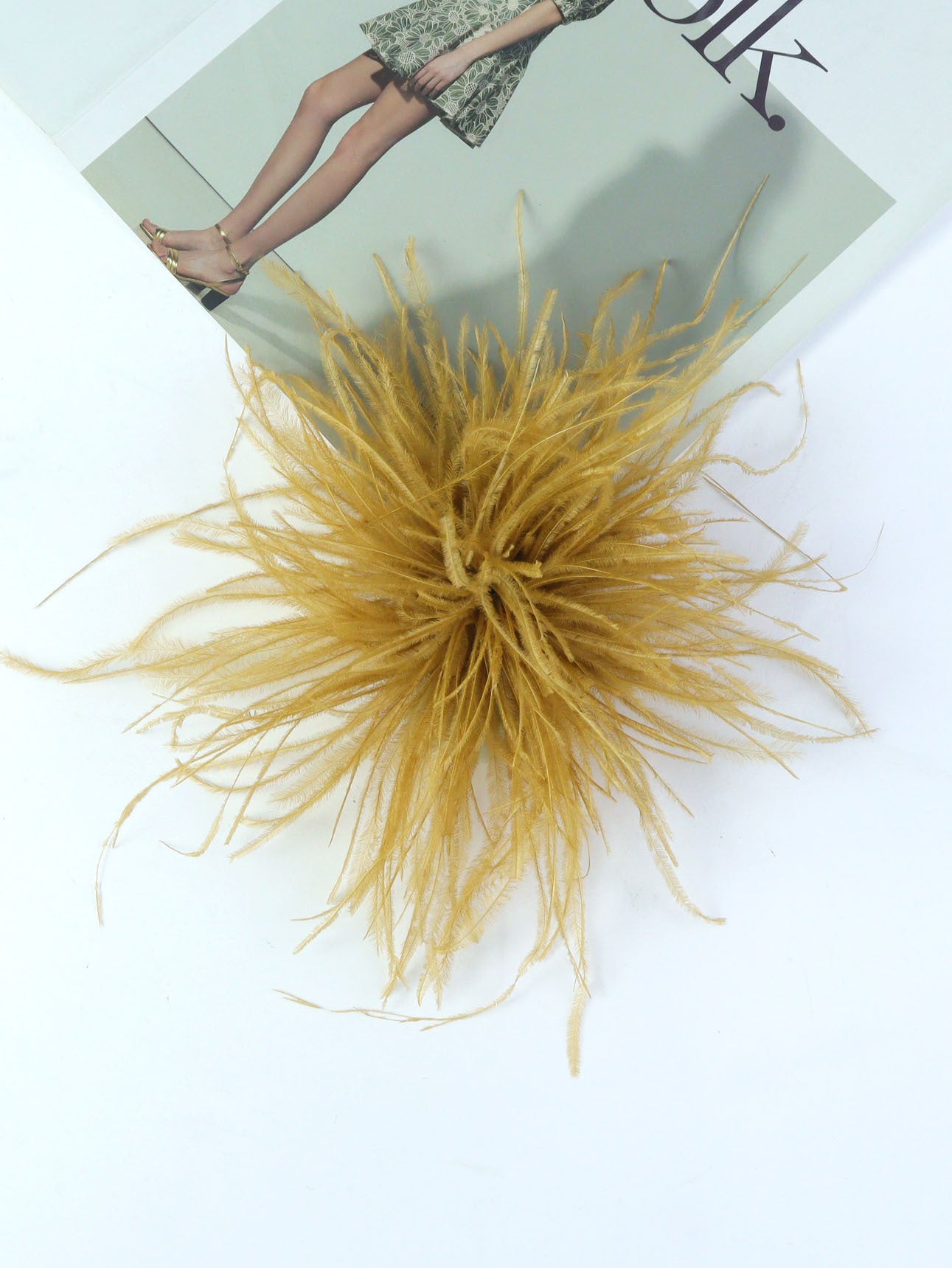 Fireworks Feathers Brooch