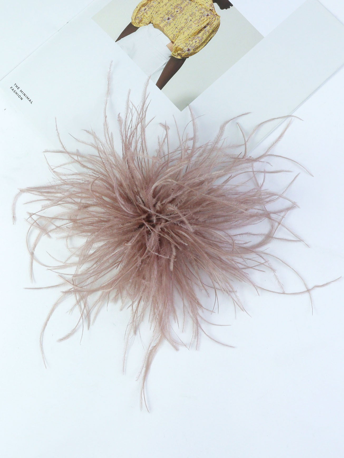 Fireworks Feathers Brooch