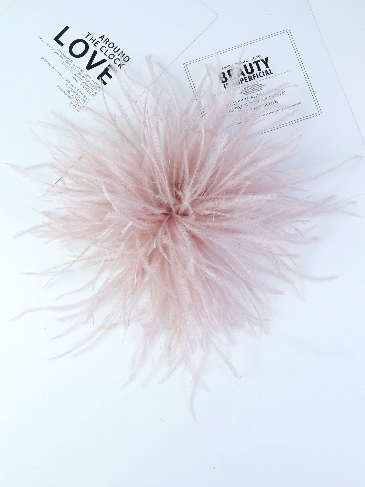 Fireworks Feathers Brooch